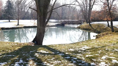 Lake And Tree Stock Footage 123559202