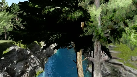 Lake and tree Stock Footage 337727830