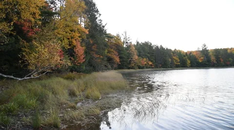 Lake and Tree Leaves in Fall Colors Stock Footage 58723096