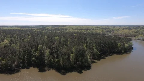 Lake and Tree Line Flyover at Indian Springs State Park Lake Video stock 127673217
