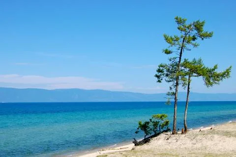 Lake and tree Stock Photos