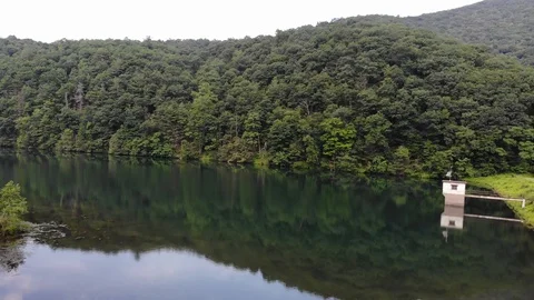 Lake and trees drone flyover Stock Footage 119498526