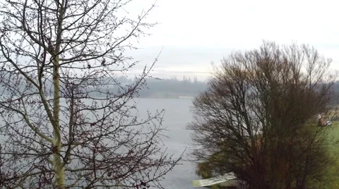 Lake and trees Stock Footage 35342568