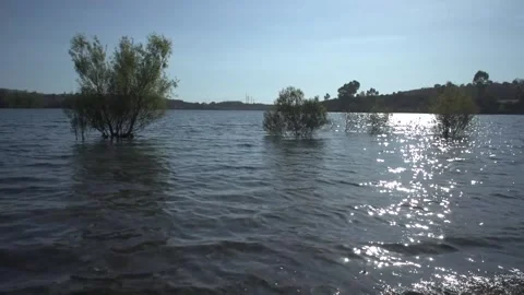 Lake and trees Stock Footage 190679823