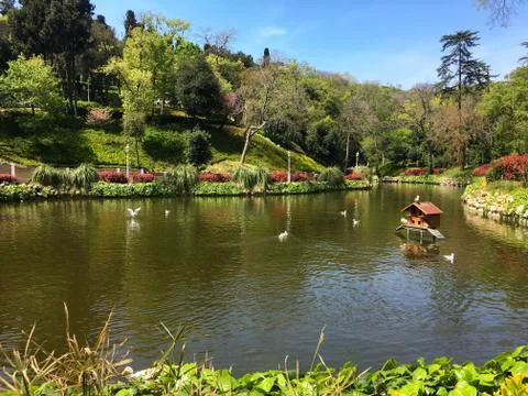 Lake and trees inside the Yıldız Parkı, Istanbul city. Foto stock