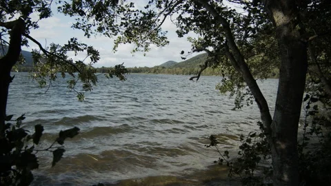 Lake and trees in the mountains Stock Footage 165747958