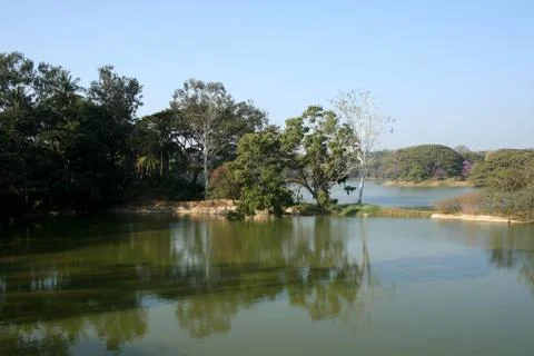 Lake and Trees 스톡 사진