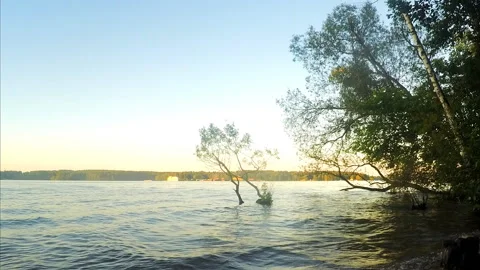 Lake and trees at sunset in summer timelapse Vidéo 87220609