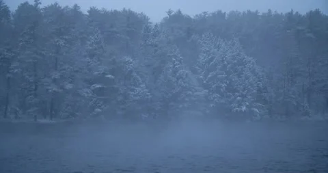 Lake and trees in winter storm Stock Footage 238796419