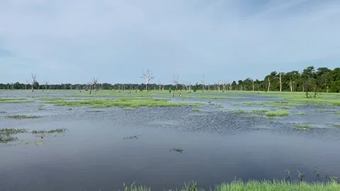 Lake in Angkor Stock Footage 340885686