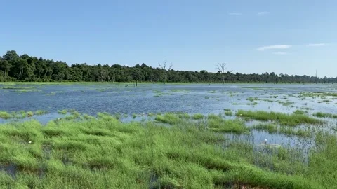 Lake in Angkor Stock-Footage 340885688
