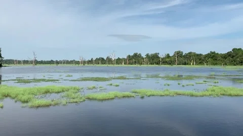 Lake in Angkor Stock Footage 340885708
