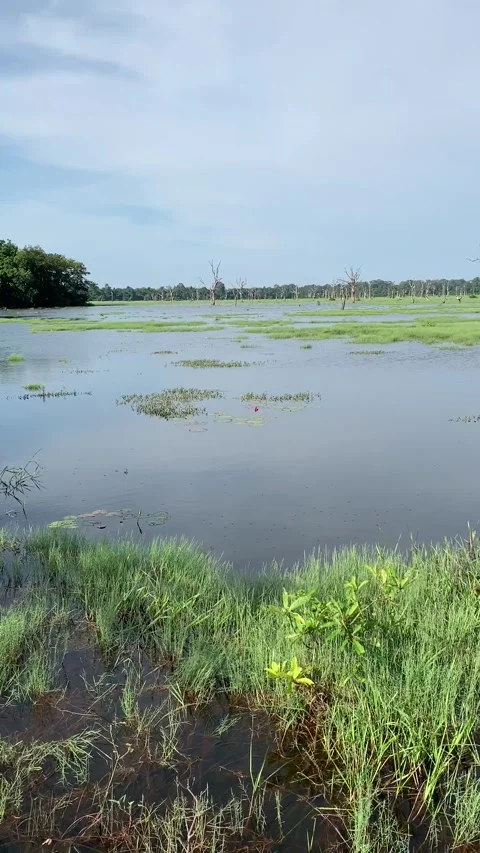 Lake in Angkor Stock Footage 340885751