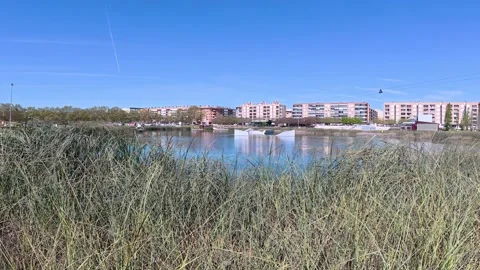 Lake with aquatic plants, parc central, Santa Perpetua, 4k 動画素材 332494660