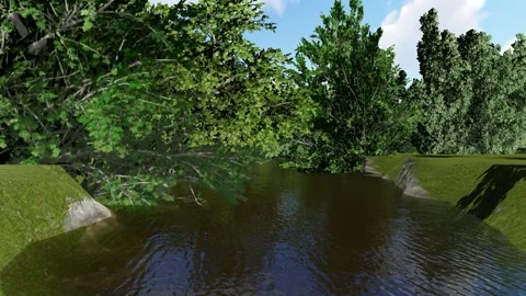 Lake Around the Tree Stock Footage 337728454