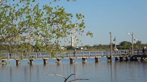 Lake Arrowhead State Park  Texas. Stock Footage 88877368