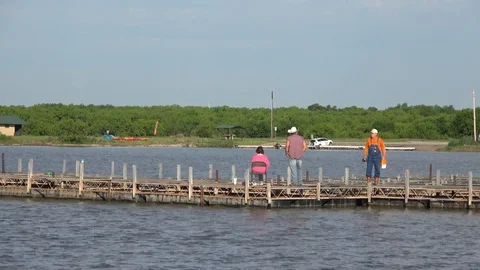 Lake Arrowhead State Park  Texas. Stock Footage 89632828