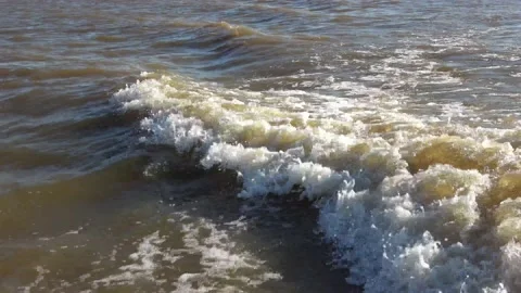 Lake Arrowhead State Park in Texas. Stock Footage 135425810