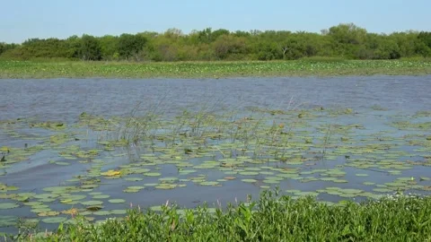 Lake Arrowhead State Park in Texas. Stock Footage 135425840