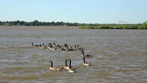 Lake Arrowhead State Park in Texas. Stock Footage 135425858