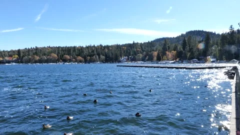 Lake Arrowhead - View of Lake with Dock  and Ducks 03915 Stock Footage 295323680