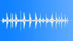 Lake Atmosphere MD ScreechingSound Effect