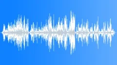 Lake Atmosphere MD TrumpetingSound Effect