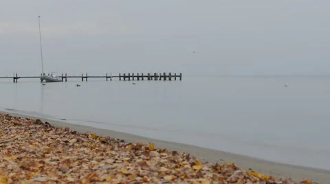 Lake in autumn 01 Stock Footage 58574256