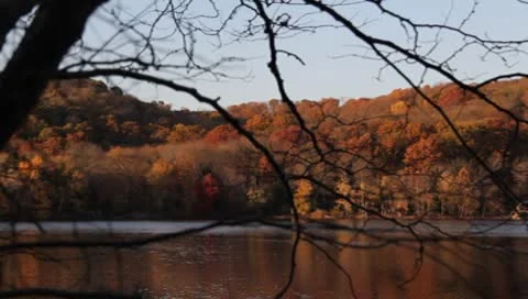 Lake in Autumn 2 Vidéo 8962948