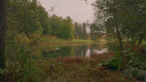 Lake in autumn fall with trees Stock Footage 255612184