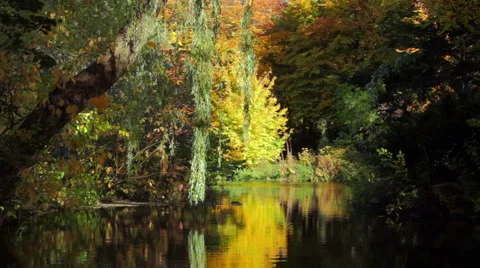 Lake in autumn Stock Footage 906031