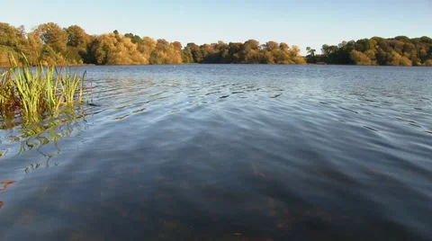 A lake in Autumn Stock Footage 32454522