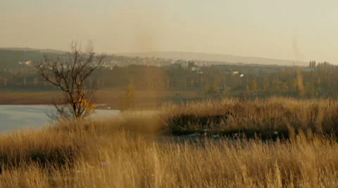 Lake In Autumn Stock-Footage 36569601