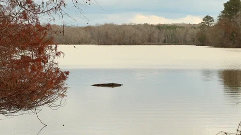 Lake in Autumn Stock Footage 101480421