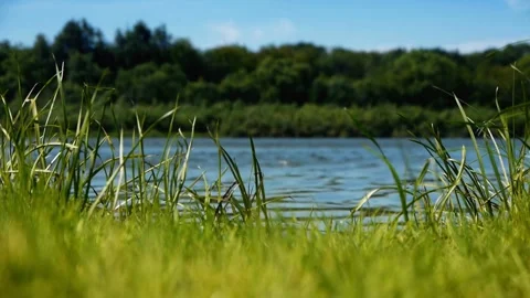 By the lake in autumn Stock Footage 309973203