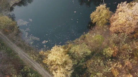 Lake in the autumn forest Stock Footage 97737271