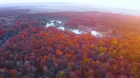 Lake in the autumn forest Stock Footage 170913407