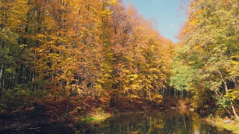 Lake in autumn forest Stock-Footage 220738479