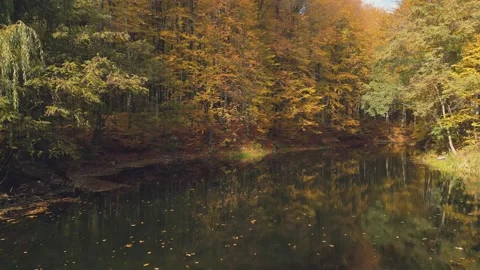Lake in autumn forest Stock Footage 225438751