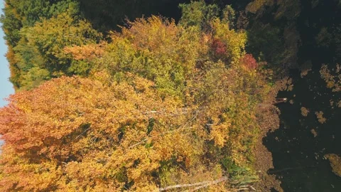Lake in autumn forest Stock-Footage 231475753