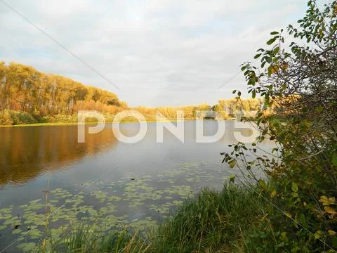 Lake in autumn Stock Photos