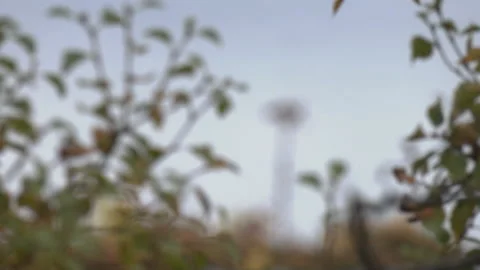Lake autumn - rack focus to foreground Stock Footage 345938828