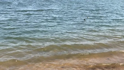 Lake Background 2 Stock Footage 152581176