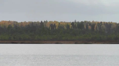 Lake on the background of the autumn forest Stock Footage 28582909