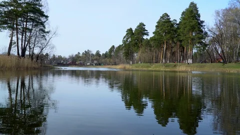 Lake on the background of the forest Stock Footage 128600963