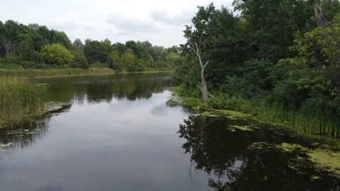 Lake background. Green river side. Panoramic flying footage. Stock Footage 209525017