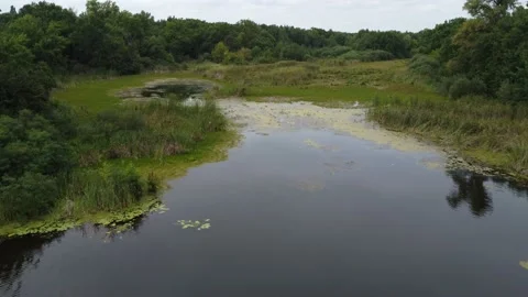 Lake background. Green river side. Panoramic flying footage. Stock Footage 209525155