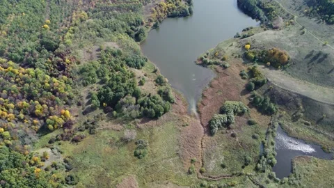 Lake background. Green river side. Panoramic flying footage. Stock Footage 223335047