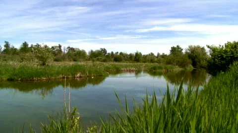 Lake background over blue sky Stock Footage 496705