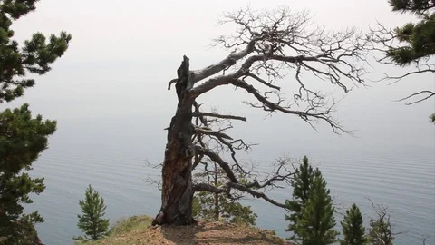 Lake Baikal 5 Stock Footage 87018692